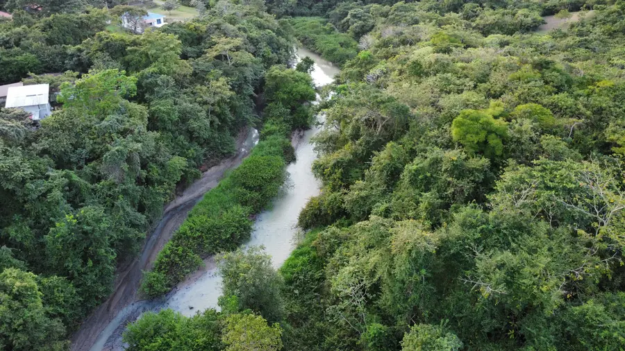 River running through the forest, aerial view