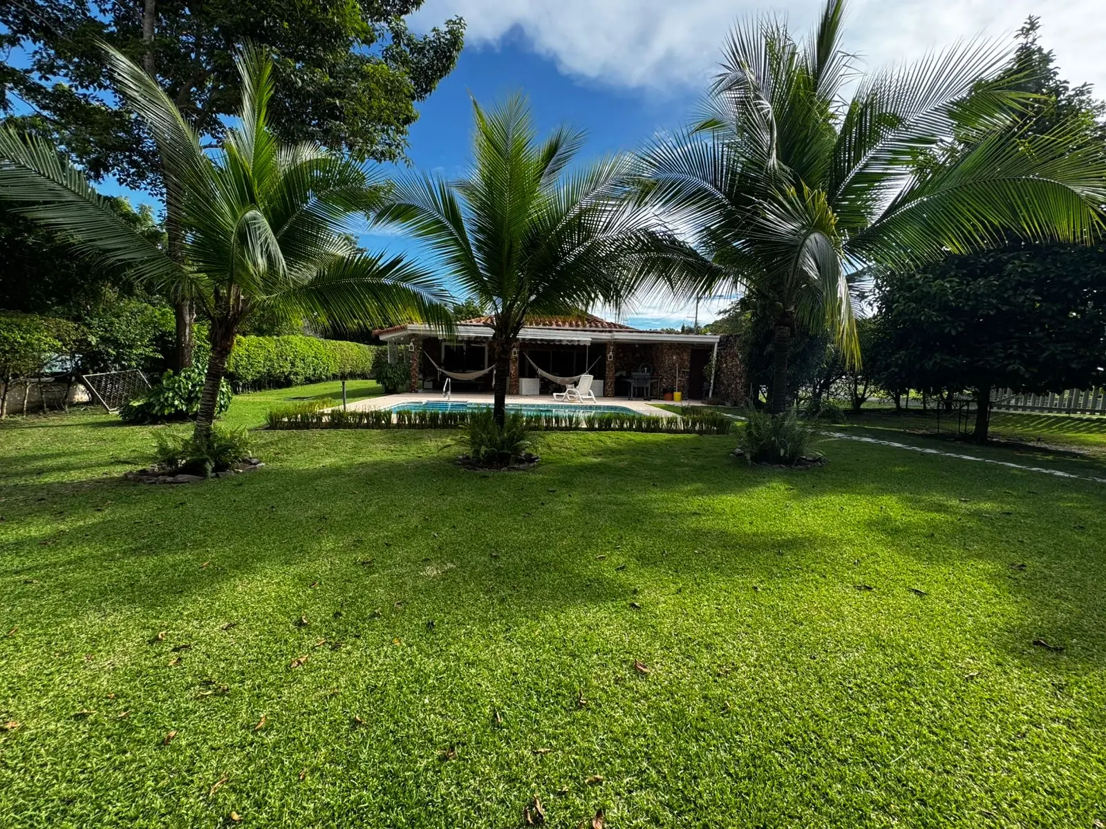 Palms, lawn and the pool beyond — lakeside home for sale at Club Ecuestre de Coronado, Panama